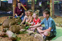 RR AquaZoo PRINT-119