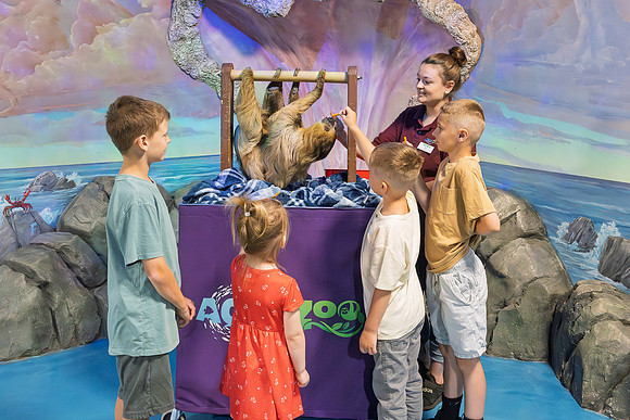RR AquaZoo WEB-161