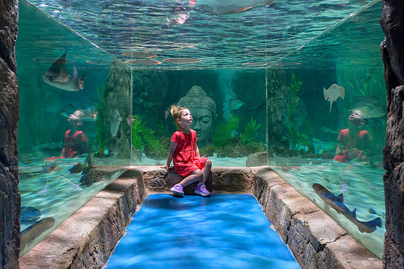 RR AquaZoo WEB-173