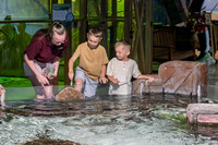 RR AquaZoo PRINT-105