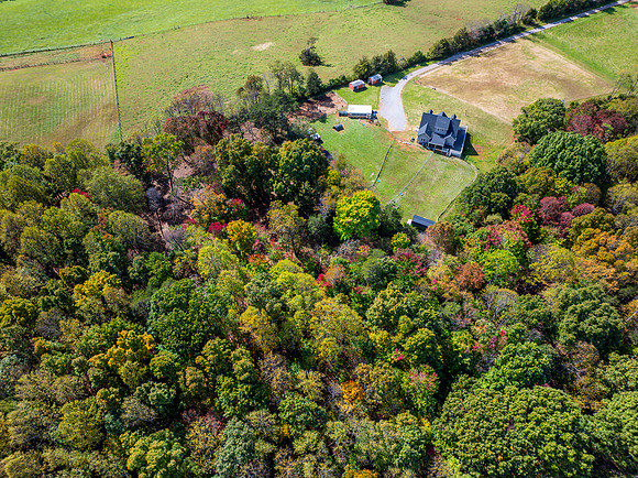 1169 Mountain Creek Ln PRINT-123