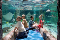 RR AquaZoo June 2025