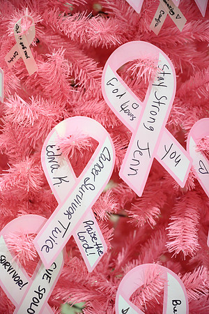 I Pink I Can PRINT-196