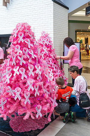 I Pink I Can 2024 WEB-185