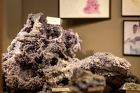 Massanutten Country Corner WEB-111