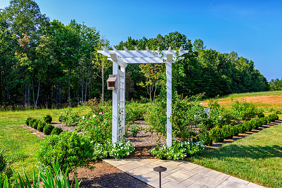 177 Dyestone Ridge Ln WEB-131