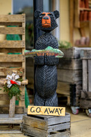 Massanutten Country Corner WEB-102