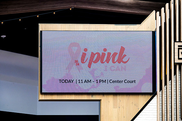 I Pink I Can 2024 WEB-208