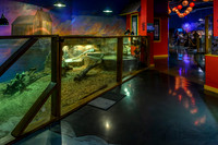 AquaZoo WEB-105