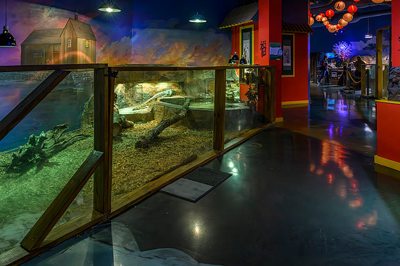 AquaZoo WEB-105