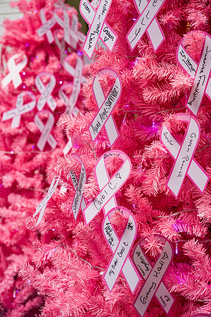 I Pink I Can 2024 WEB-168