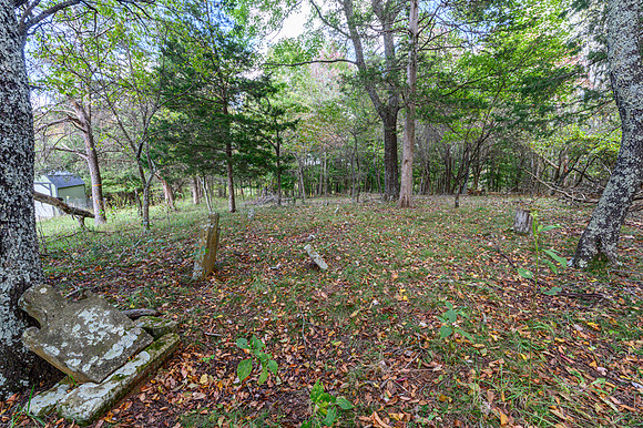 1169 Mountain Creek Ln WEB-165