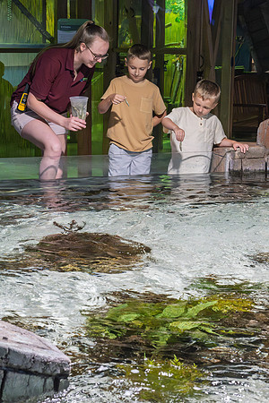 RR AquaZoo PRINT-104