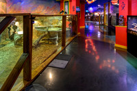 AquaZoo WEB-104