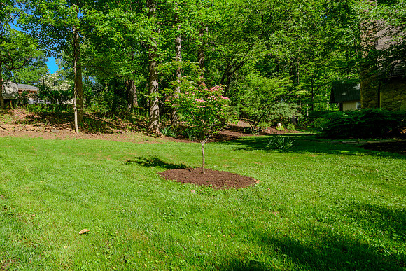 522 Trents Ferry Road-127