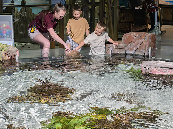 RR AquaZoo WEB-102