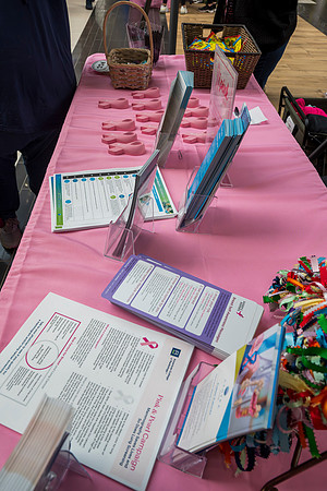 I Pink I Can 2024 WEB-124