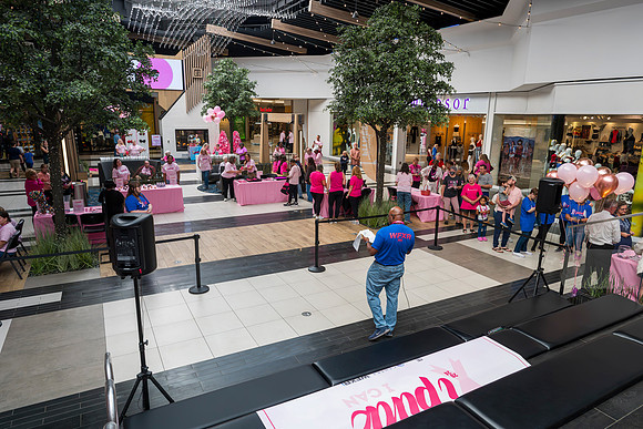 I Pink I Can 2024 WEB-123