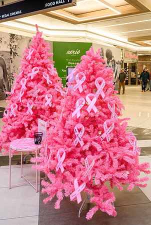I Pink I Can 2022 PRINT-234