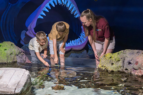 RR AquaZoo WEB-107