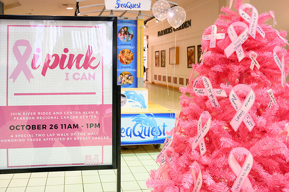 I Pink I Can PRINT-181