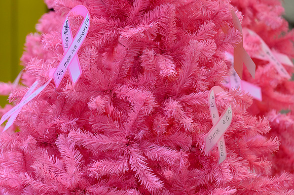 I Pink I Can 2022 PRINT-101
