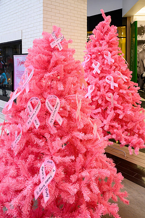 I Pink I Can 2022 PRINT-235