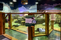 AquaZoo PRINT-106
