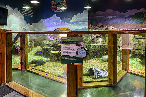AquaZoo PRINT-106