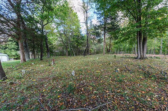 1169 Mountain Creek Ln WEB-166