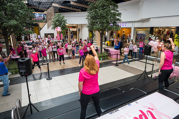 I Pink I Can 2024 WEB-154