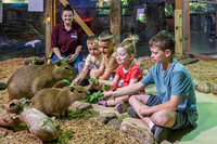 RR AquaZoo WEB-119