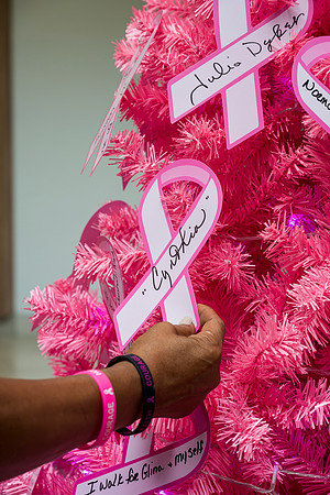I Pink I Can 2024 WEB-178