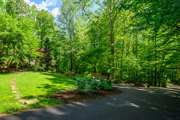522 Trents Ferry Road-131