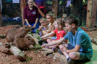 RR AquaZoo WEB-118