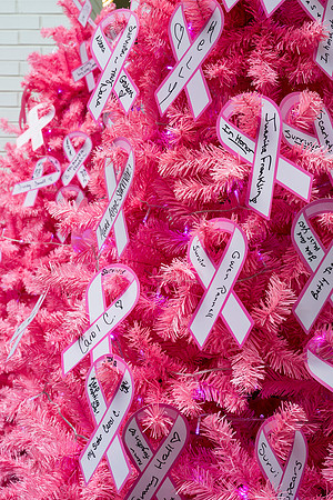 I Pink I Can 2024 WEB-134