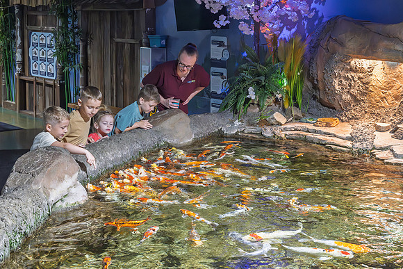 RR AquaZoo WEB-171