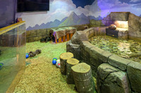 AquaZoo WEB-107