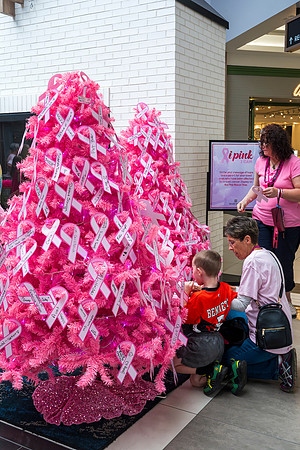 I Pink I Can 2024 WEB-184