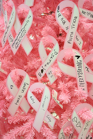 I Pink I Can PRINT-200